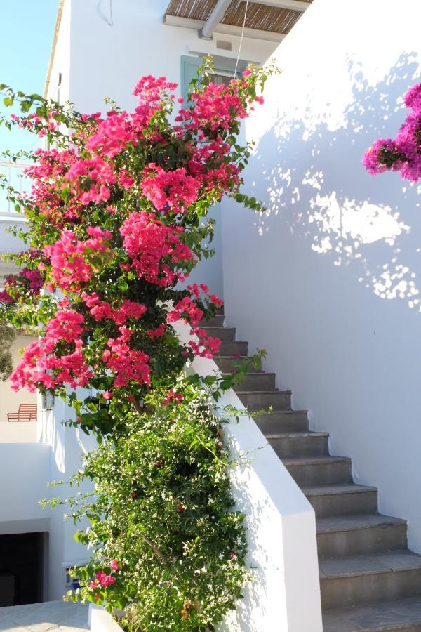 Ark Tinos Appartement Agios Ioannis  Buitenkant foto